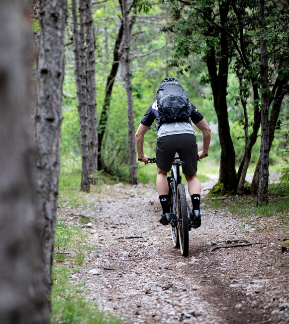 Mountainbike im Wald